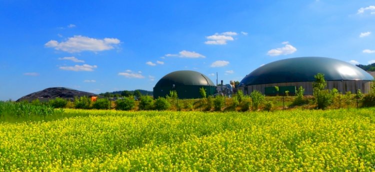 O biogás e biometano na Europa
