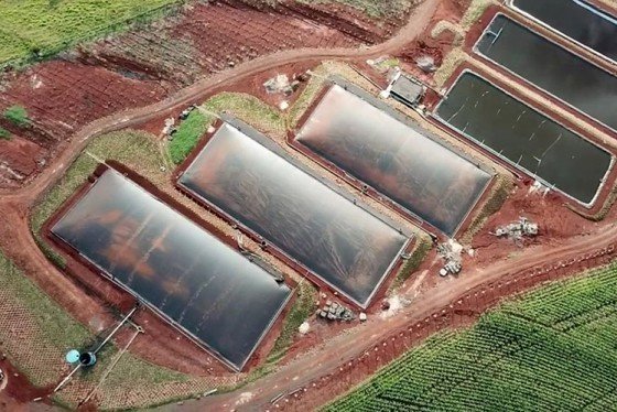 1ª usina de biogás e energia fotovoltaica está operando em Ouro Verde do Oeste - PR