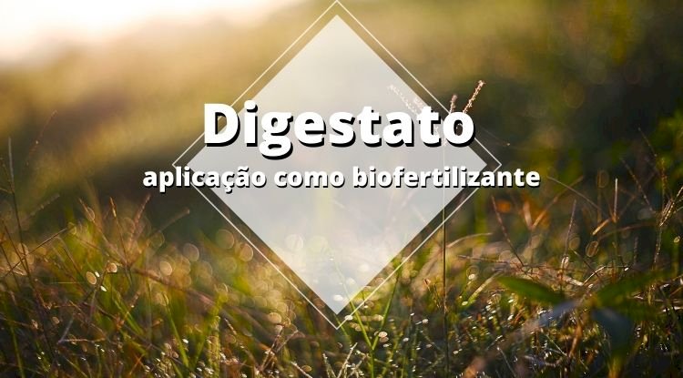 Digestato - Aplicações como biofertilizante