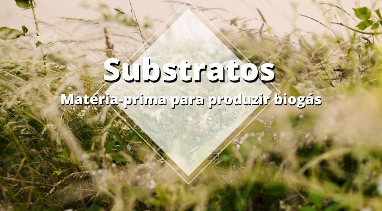 Substrato, a matéria-prima para produzir biogás