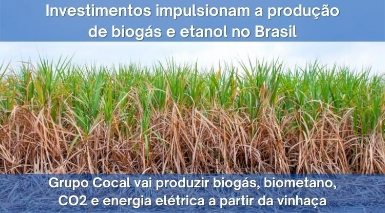Para impulsionar a produção de biogás e etanol no Brasil, International Finance Corporation investe US$ 70 milhões