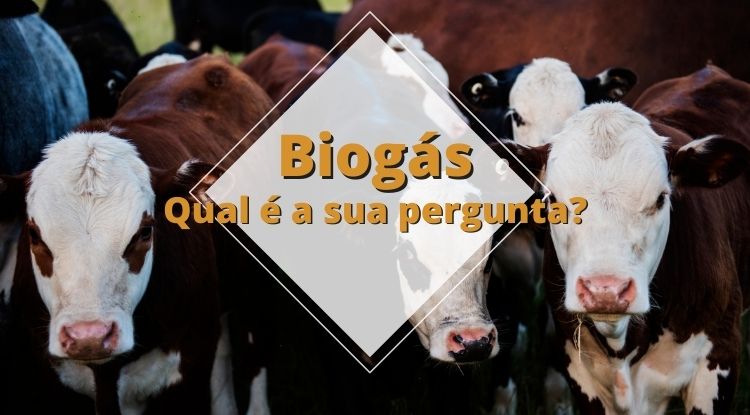 Pergunte ao Portal Energia e Biogás